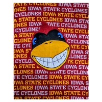 60" x 80" blanket for resting comfortably in many different settings.... from...