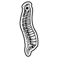 Key Tags - Soft Vinyl - Spot Color Screen Print -... from ASI 80210 Quikey...