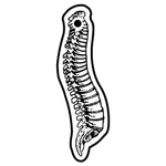 Key Tags - Soft Vinyl - Stock Shape Collection - Spine