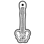 Key Tags - Soft Vinyl - Stock Shape Collection - Spine