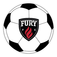 Round Sticker - Bumper