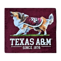 This colorful blanket feels like silk to the touch.... from ASI 90859 Tempo...