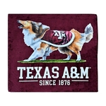 Sublimated Silk Touch Blanket 50" x 60"