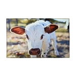 Indoor Rug 19.7" x 31.5"