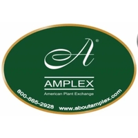 3" x 5" decal or 15 Square inches