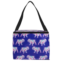 Laminated Full Color Insulated Cooler