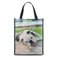 16" W x 12" H x 6" D 100 GSM PET Tote Bag