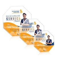 Polaris Octagon VividPrint™ Award - Silver