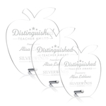 Polaris Apple Award - Silver