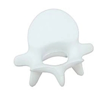 Vertebrae Stress Reliever... from ASI 74779 O & S Supply Company LLC / O & S...