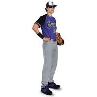 Solid Diamond Series Baseball Pant 2.0