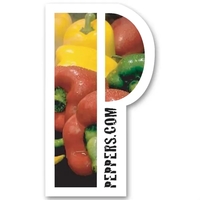 Re-Stick-It Decal (2"x3.5") P Shape