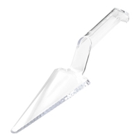 Clear Plastic Triangle Server