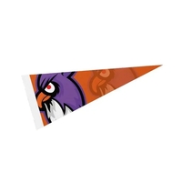 5" x 12" Full color felt pennant flag banner with strip... from ASI 37218...