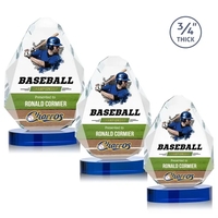 Lexis VividPrint™ Award