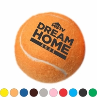 Pet Fetch Tennis Ball