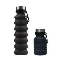 Collapsible Silicone Bottle, 16.9 oz.