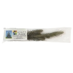 Live Evergreen Tree Seedling in Clear Bag