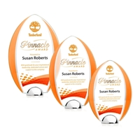 Made of Starfire Crystal, the arrowhead shaped Lincoln VividPrint™ Award...