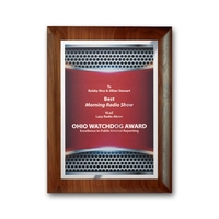 SpectraPrint™ Plaque - Rolled Edge Silver