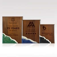 Wood Plaques w/ Colorfill - Natural Edge