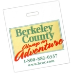 13 1/2" x 15" x 4" BG Patch Handle Bag - 1.75 mil