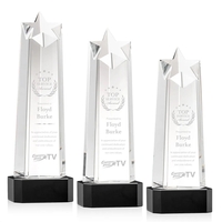 Delaware Star on Base - Black