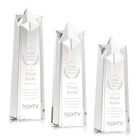 Delaware Star Award - Clear