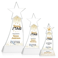 Crafted from premium Optical Crystal, the Manolita Star VividPrint™ Award...