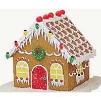 Employee Activity Gingerbread House Kit... from ASI 89971 Stuff A Mug
