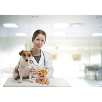 Stuffed toy dog with overall size 8".... from ASI 93990 IMAGEN Brands