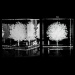 3D Crystal Cube Award Paperweight - Custom Imprint