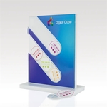 Acrylic Award - Perpetual Full-Color Display