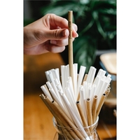 Bamboo Straw