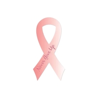 4" x 8" ribbon shaped car magnet with customization.... from ASI 98360...