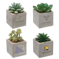 Mini Faux Potted Succulent in concrete planter... from ASI 62190 Illini