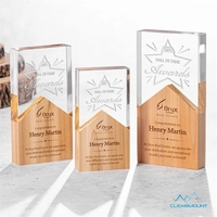 The Montagnes Award features a unique composition, showcasing an acrylic...