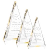 The Shrewsbury Award is an acrylic pyramid that proclaims its brilliance......