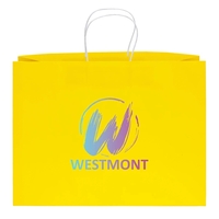 Paper shopper bag... from ASI 37940 Bag Makers Inc