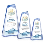 Veradero VividPrint™ Award - Blue