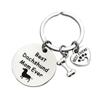 Stainless Steel Round Pet Logo Keychain