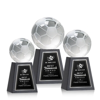 The Soccer Ball Award is a stunning representation of the passion... from ASI...