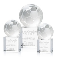 The Soccer Ball Award is a stunning representation of the passion... from ASI...