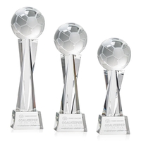 The Soccer Ball Award is a stunning representation of the passion... from ASI...