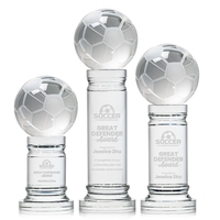 The Soccer Ball Award is a stunning representation of the passion... from ASI...