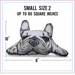 Small Size 2 Full Color Life-Like Pillow