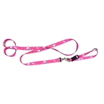 Paw Power Pet Collar And Leash Combo By Swag Wag