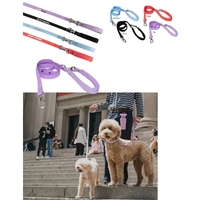 Small dog leash... from ASI 55675 Galaxy Balloons Inc / Galactic Fun Time Line