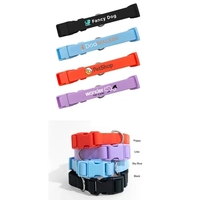 Springer Medium Dog Collar