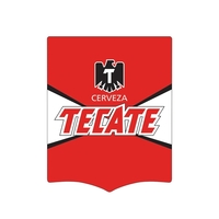 Banner Hand Fan Without a Stick